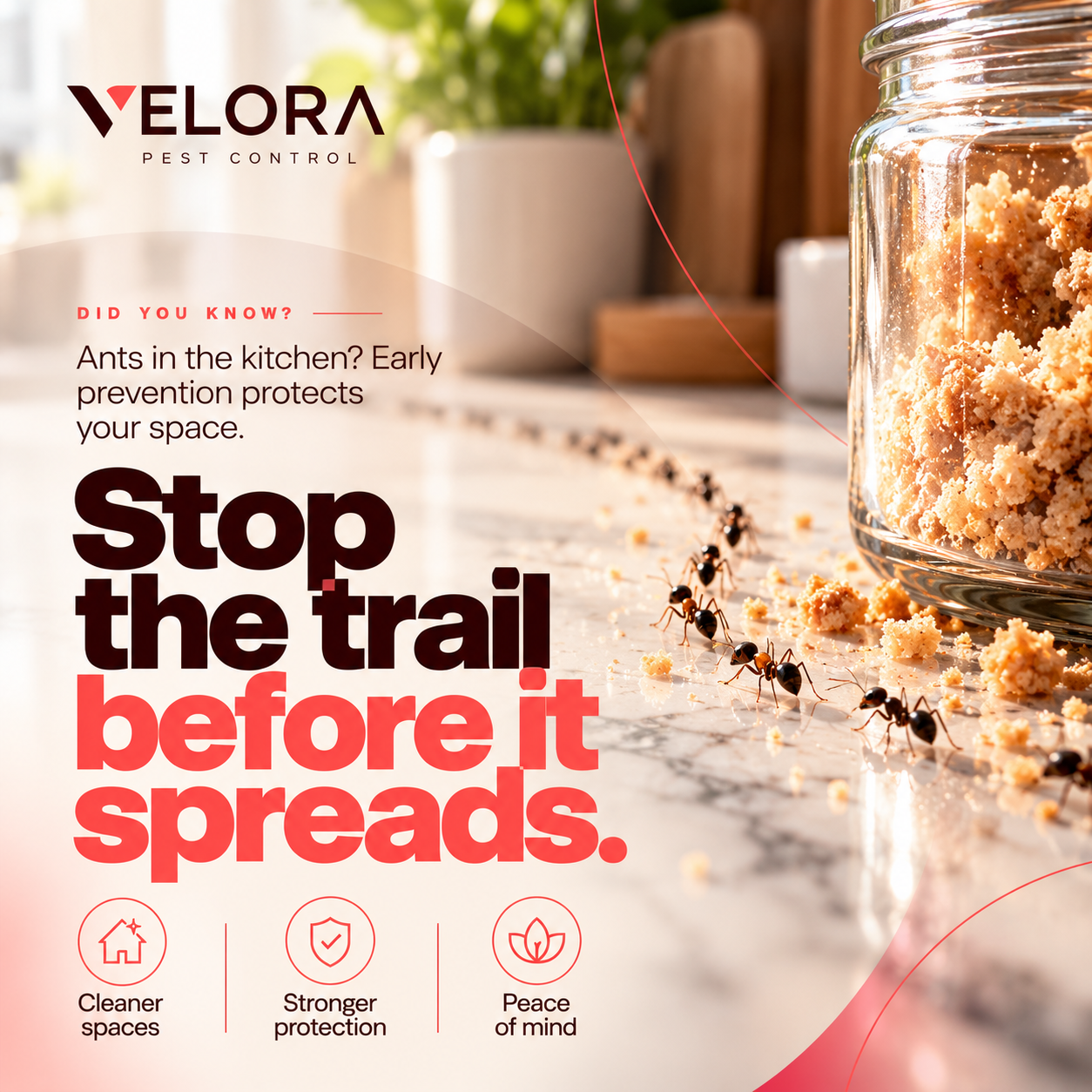 Velora Stop The Trail Feature