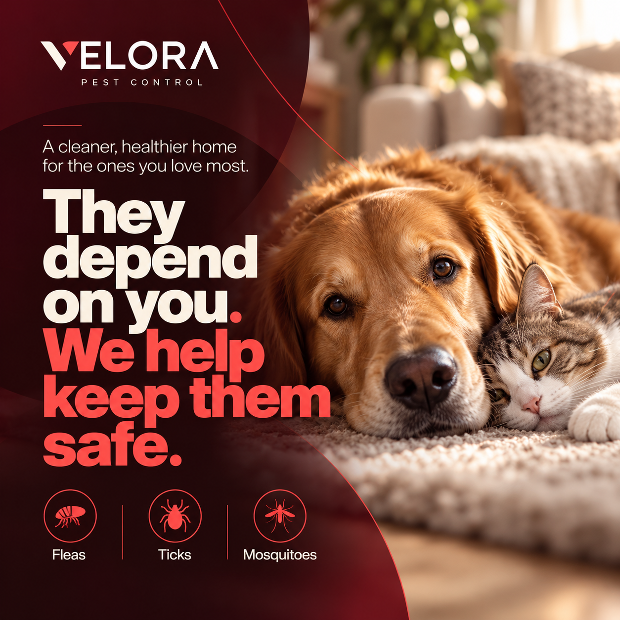 Velora Family & Pet Safety Post