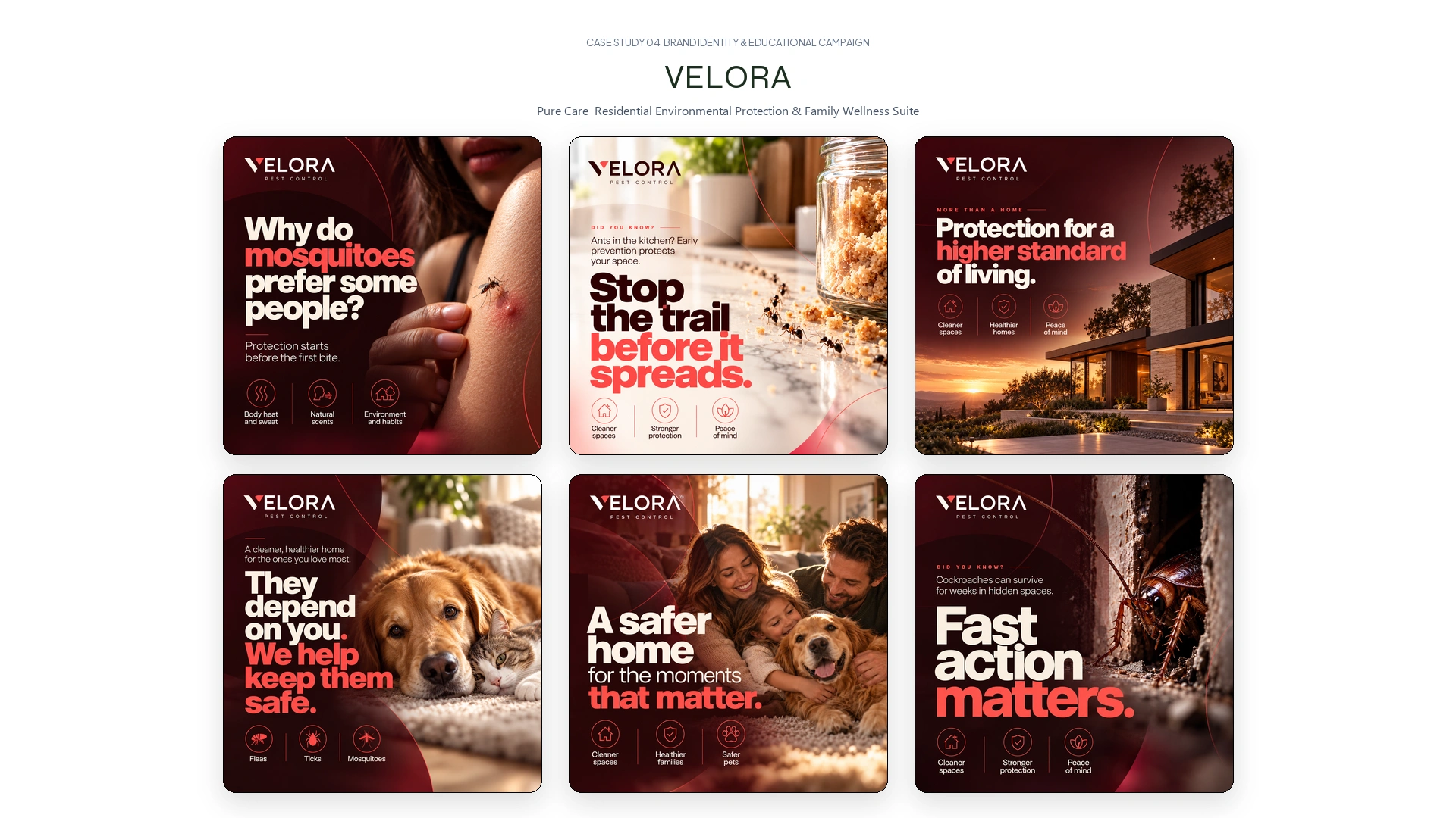 Velora Environmental Care Showcase