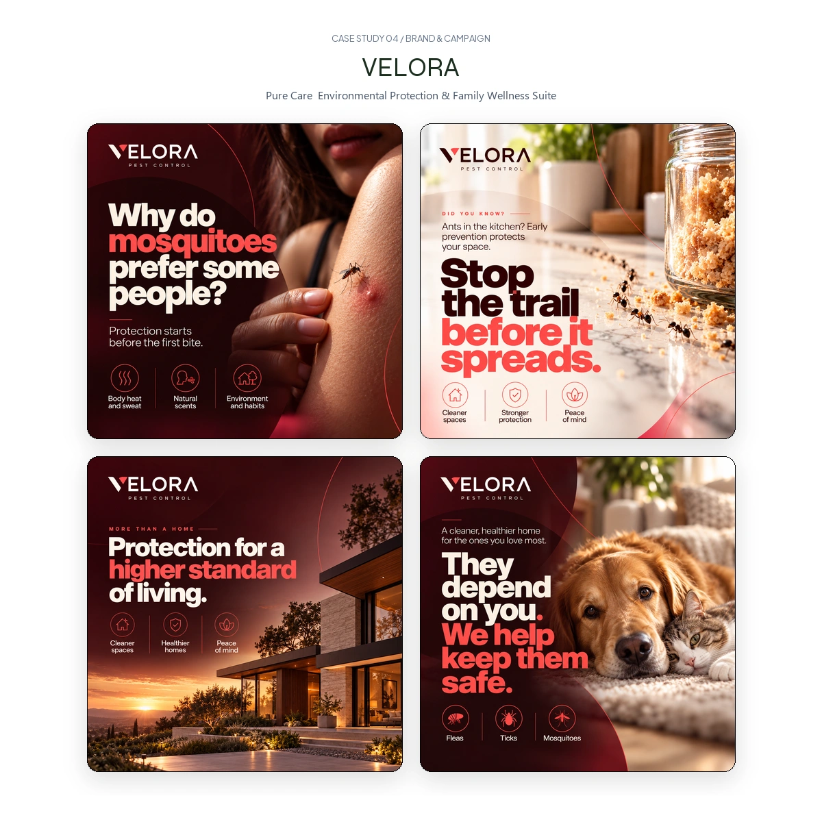 Velora Home Environmental Care Suite