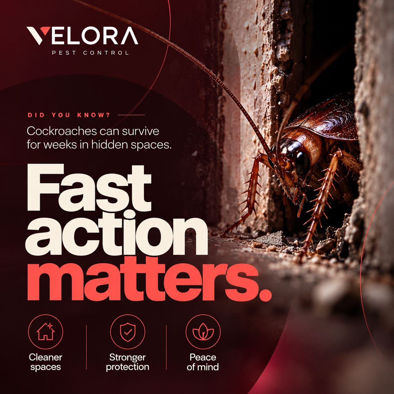 Velora Seasonal Getaway Preparation